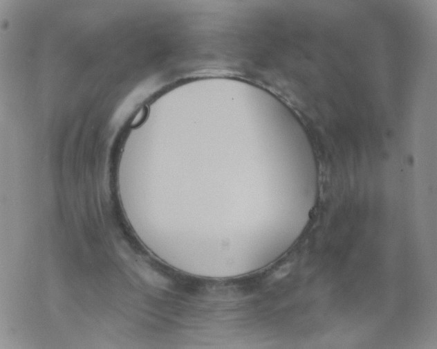 X0000073930296200609011841