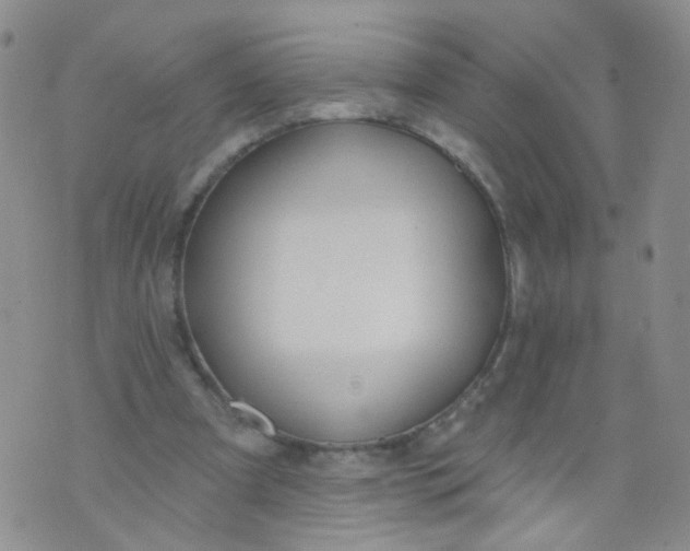 X0000073930297200609011841