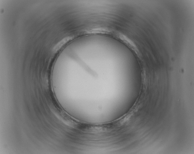 X0000073930298200609011841