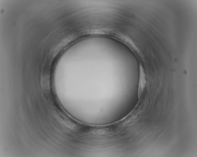 X0000073930299200609011841