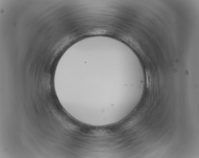 X0000073930300200609011841