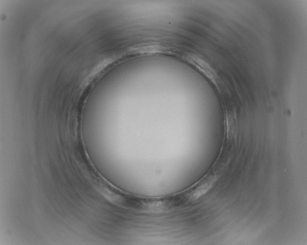 X0000073930301200609011841