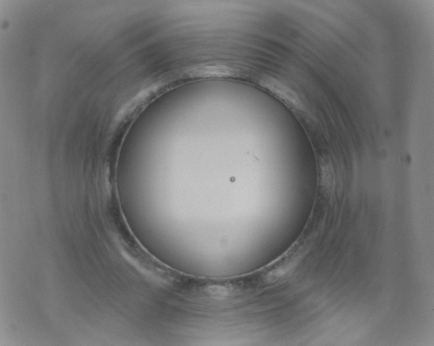 X0000073930302200609011841