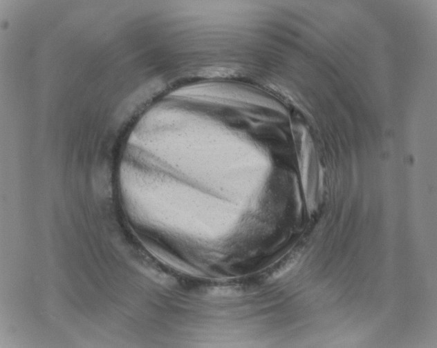 X0000073930303200609011841