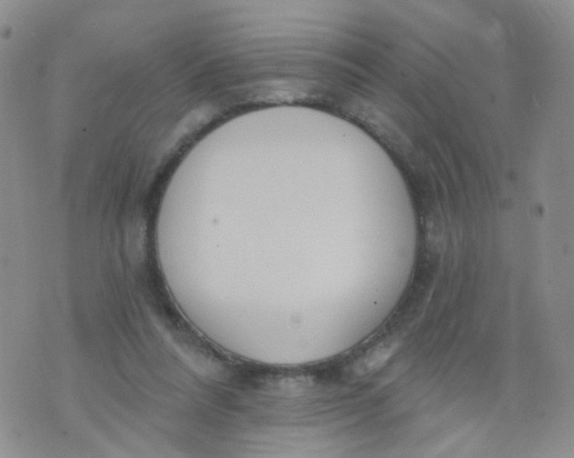 X0000073930304200609011841