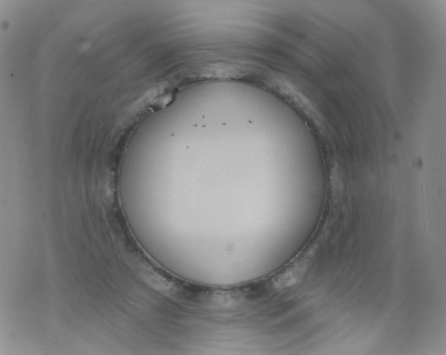 X0000073930305200609011841