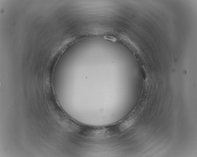 X0000073930306200609011841