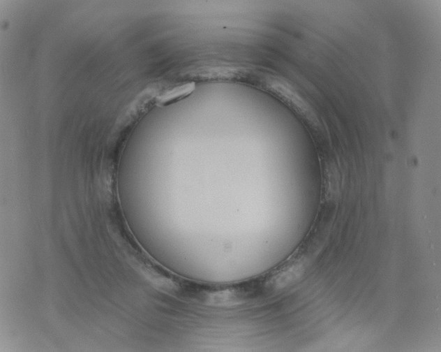 X0000073930309200609011841