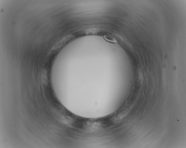 X0000073930311200609011841