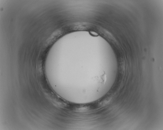 X0000073930312200609011841