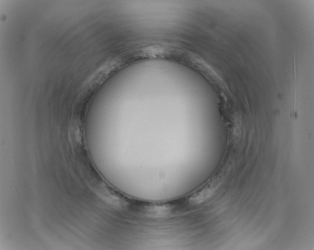 X0000073930313200609011841