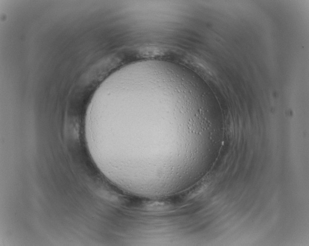 X0000073930315200609011841