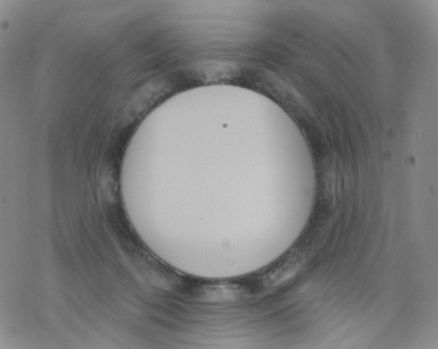 X0000073930316200609011841