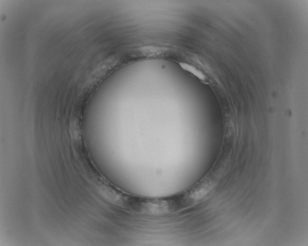 X0000073930317200609011841