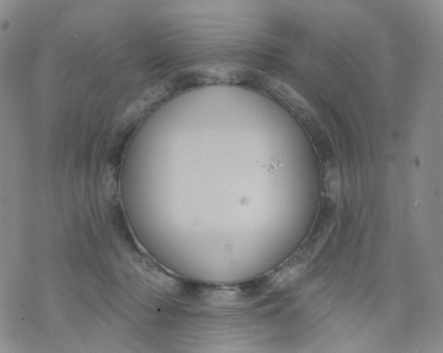 X0000073930318200609011841