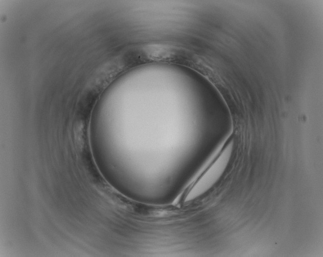 X0000073930319200609011841