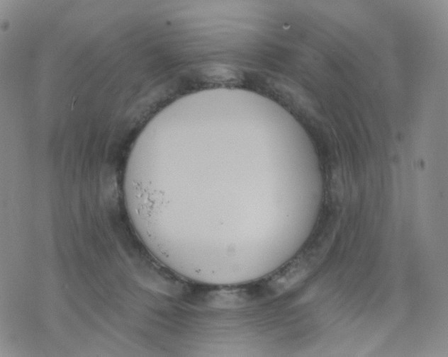 X0000073930320200609011841