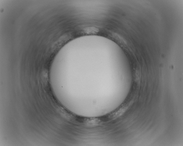 X0000073930321200609011841