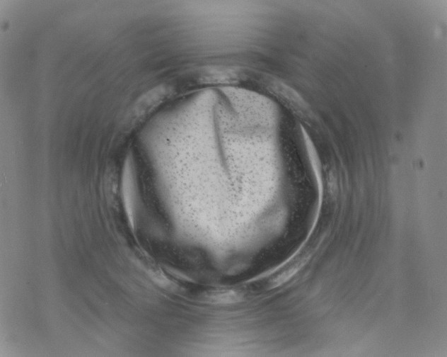 X0000073930322200609011841