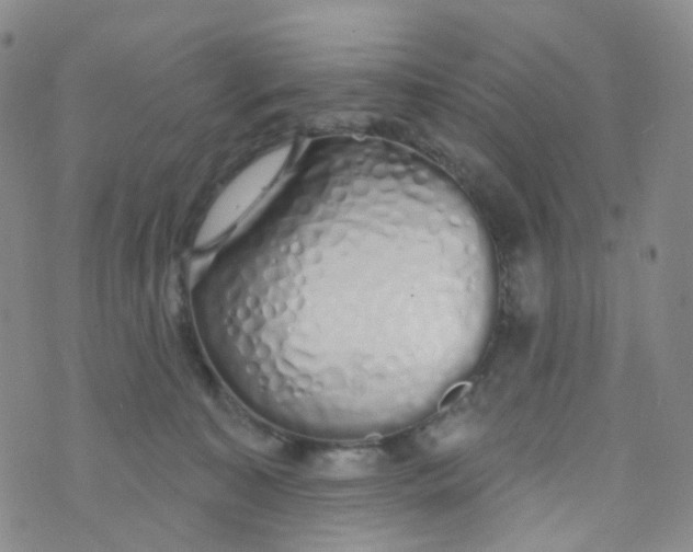 X0000073930323200609011841