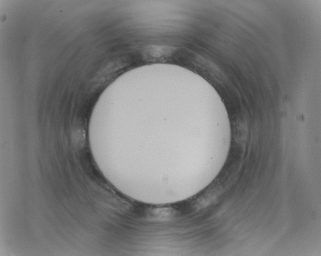 X0000073930324200609011841