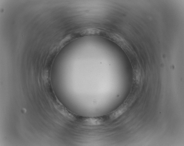 X0000073930326200609011841