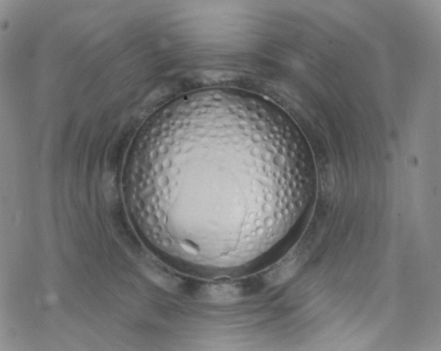 X0000073930327200609011841