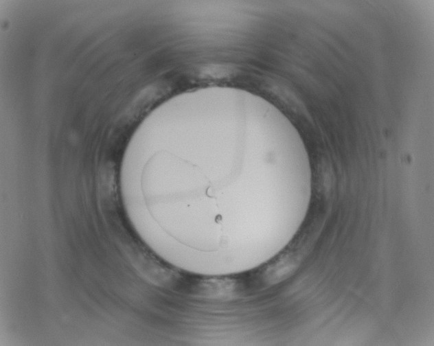 X0000073930328200609011841