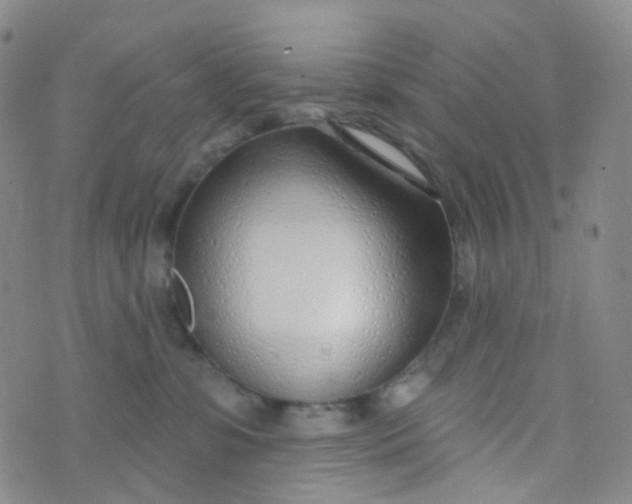 X0000073930331200609011840