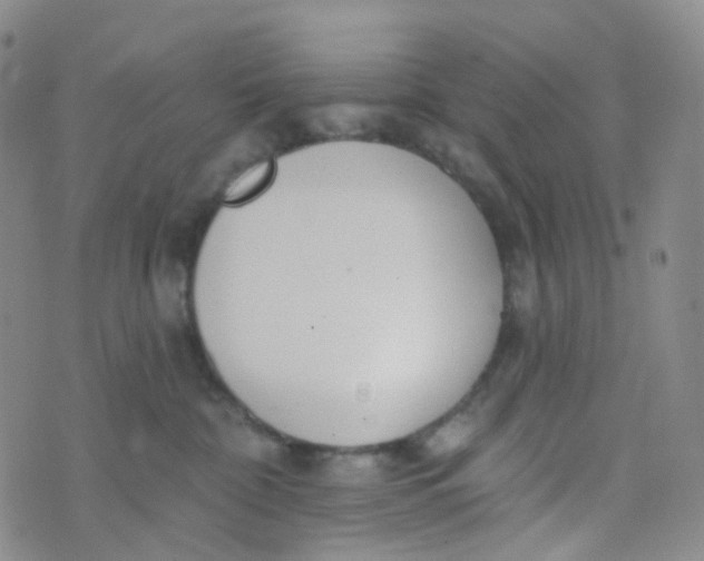 X0000073930332200609011840