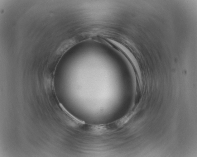 X0000073930333200609011840