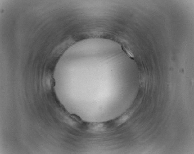 X0000073930334200609011840