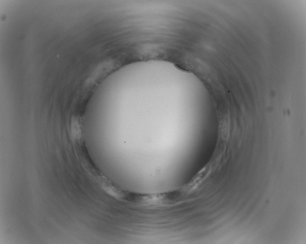 X0000073930335200609011840