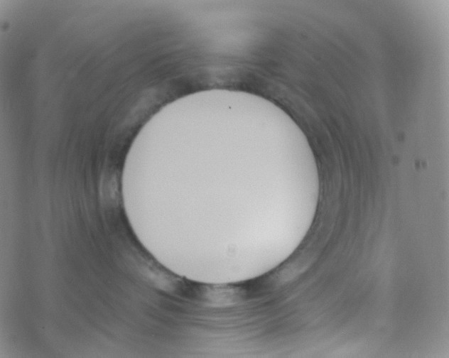 X0000073930336200609011840