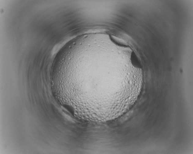 X0000073930337200609011840