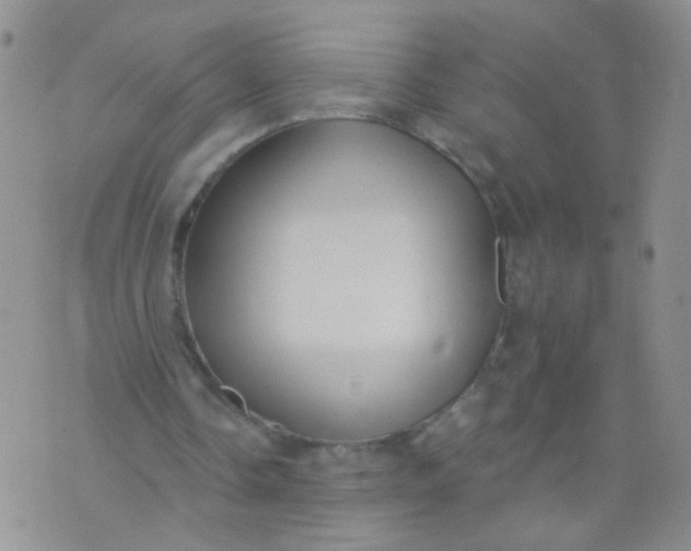 X0000073930338200609011840