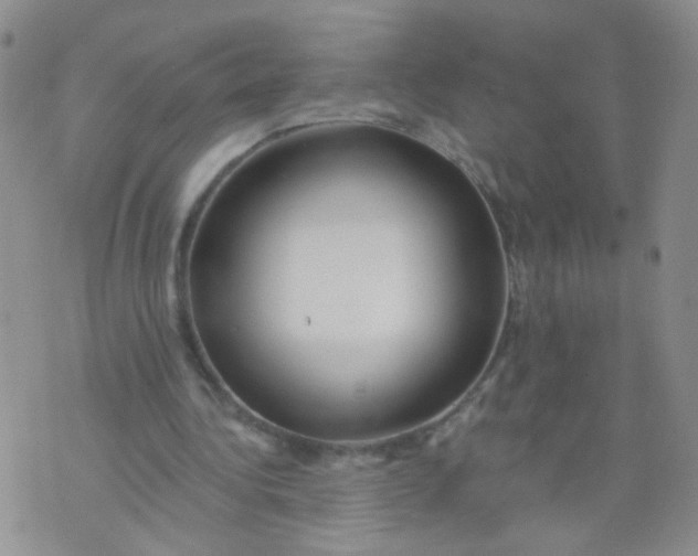 X0000073930340200609011840