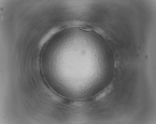 X0000073930341200609011840