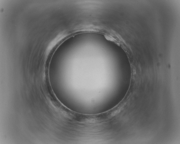 X0000073930344200609011840