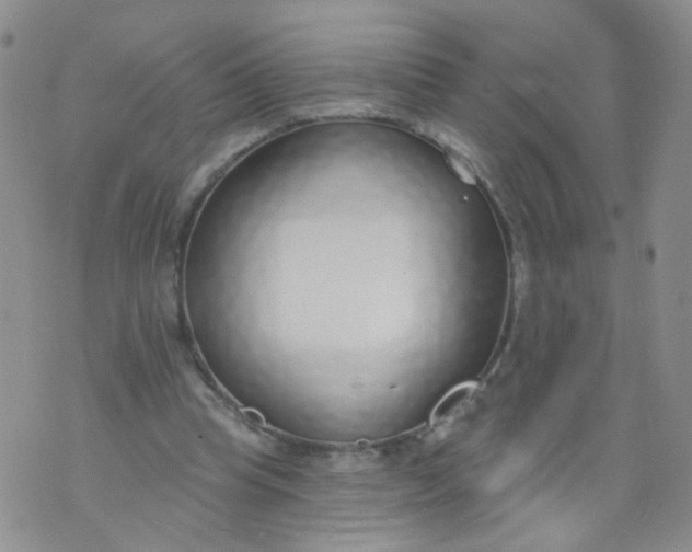 X0000073930345200609011840