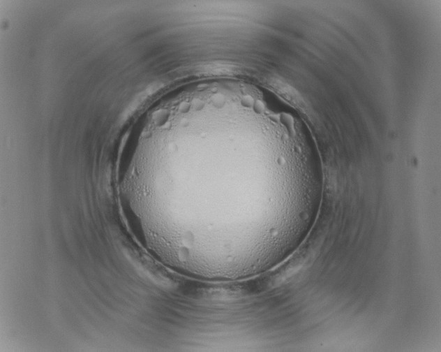 X0000073930347200609011840