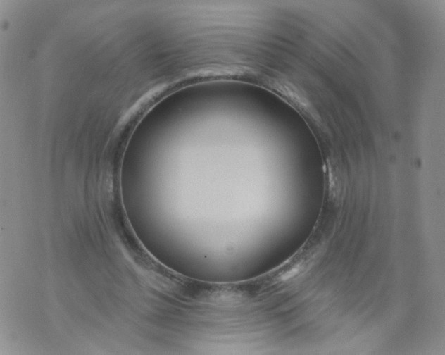 X0000073930348200609011840