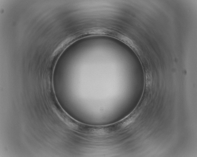 X0000073930349200609011840