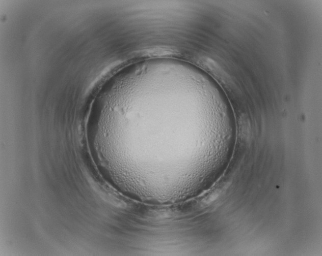 X0000073930351200609011840