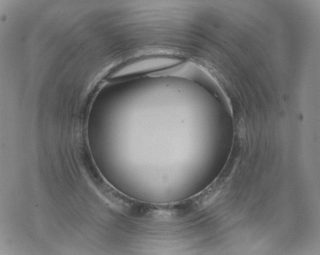 X0000073930352200609011840