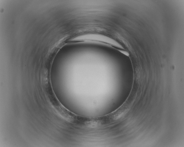 X0000073930356200609011840