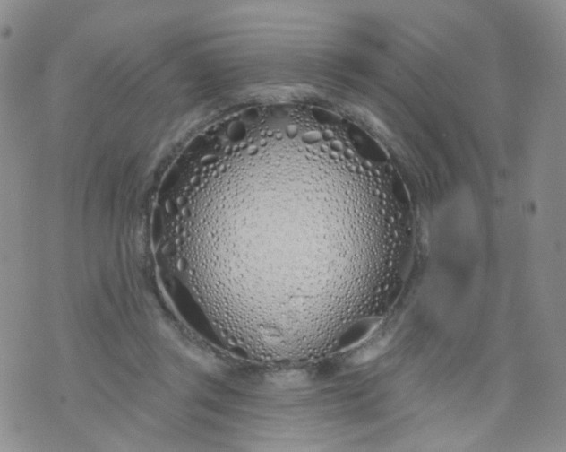 X0000073930357200609011840