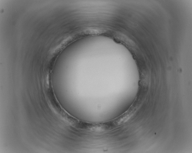 X0000073930358200609011840