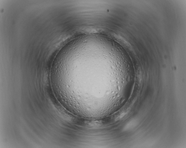 X0000073930359200609011840