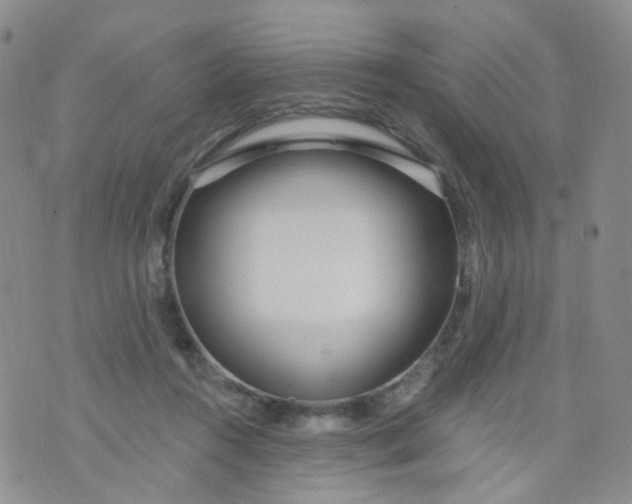 X0000073930360200609011840